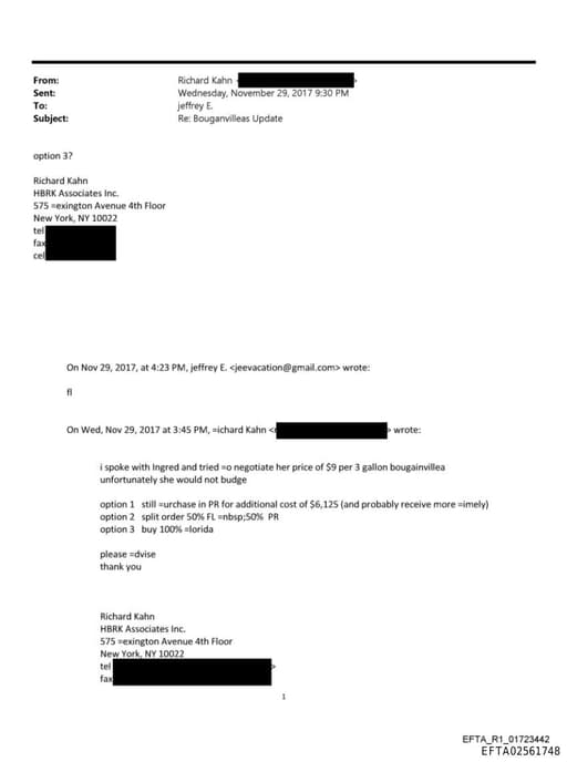 Preview of EFTA02561748