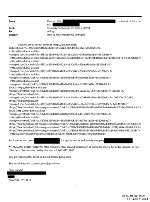 Preview of EFTA02712661