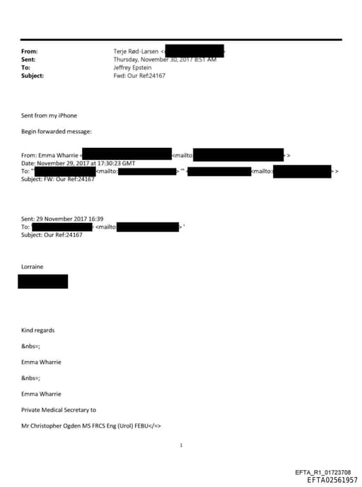 Preview of EFTA02561957