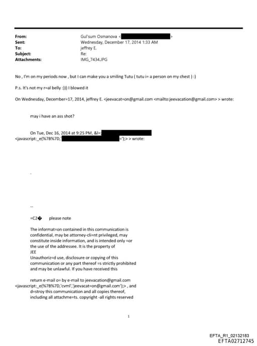 Preview of EFTA02712745