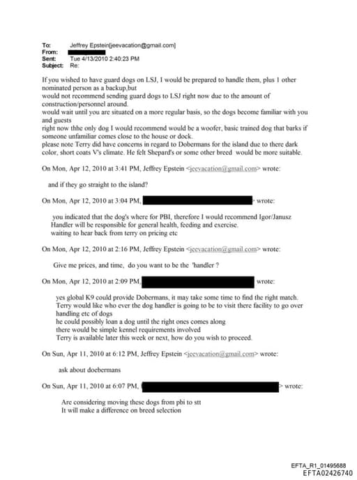 Preview of EFTA02426740