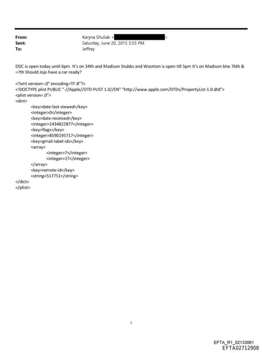 Preview of EFTA02712908