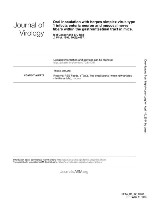 Preview of EFTA02713009