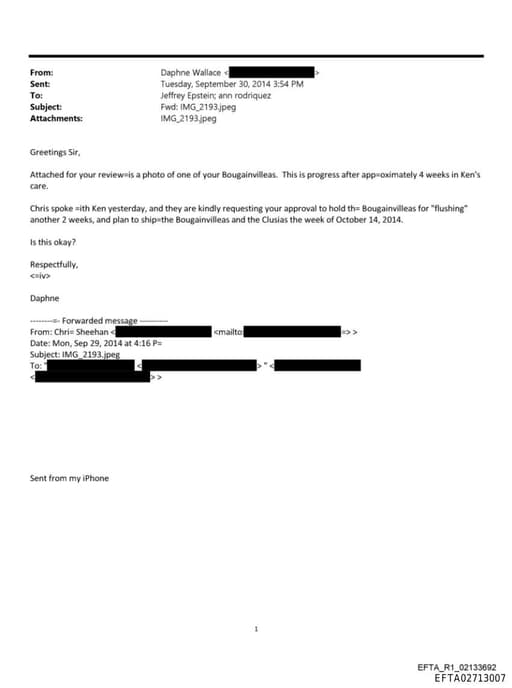 Preview of EFTA02713007