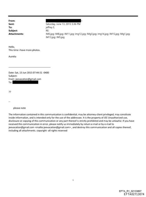 Preview of EFTA02713074