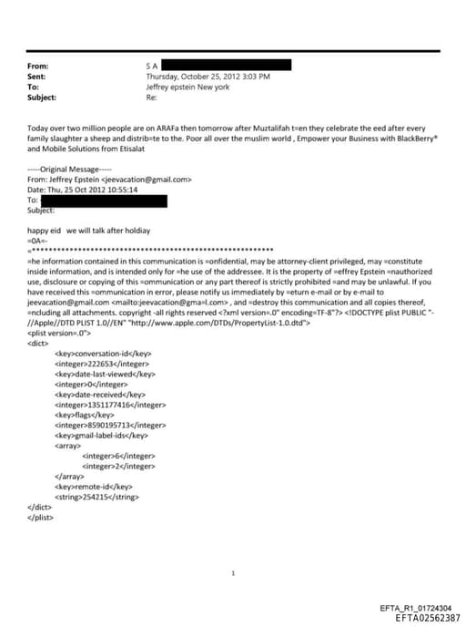 Preview of EFTA02562387