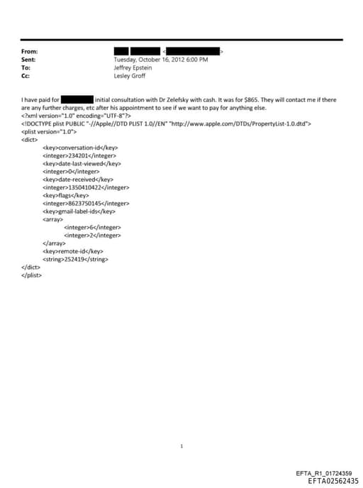 Preview of EFTA02562435