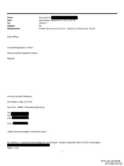 Preview of EFTA02713712