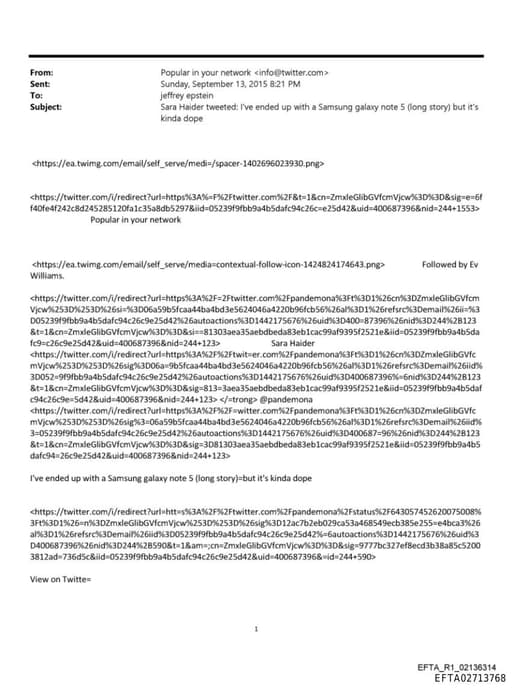 Preview of EFTA02713768