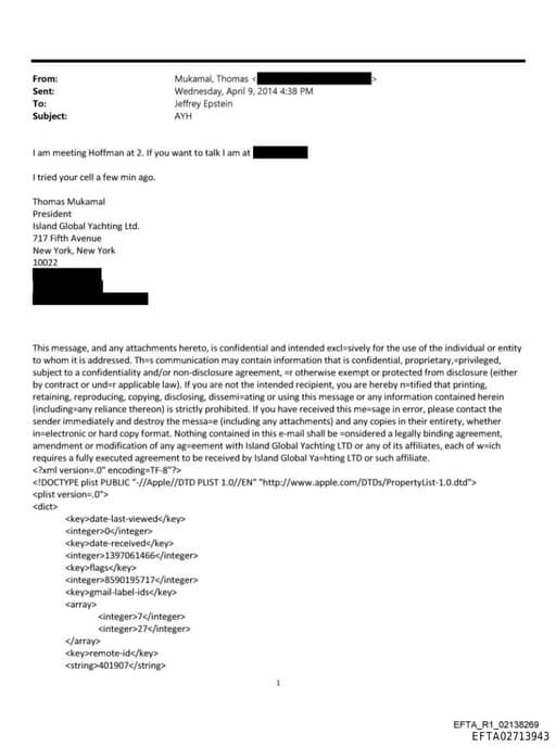 Preview of EFTA02713943