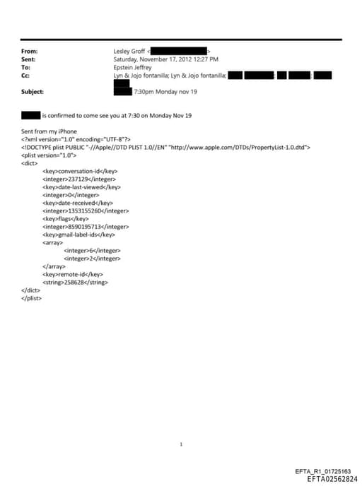 Preview of EFTA02562824