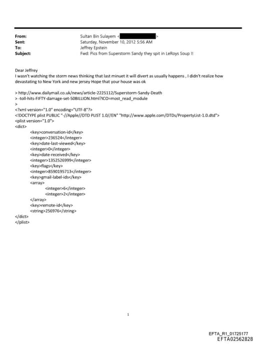 Preview of EFTA02562828