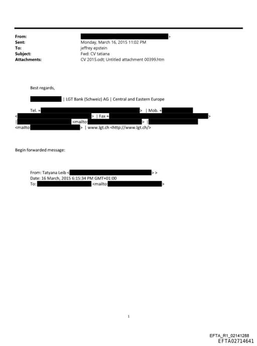 Preview of EFTA02714641