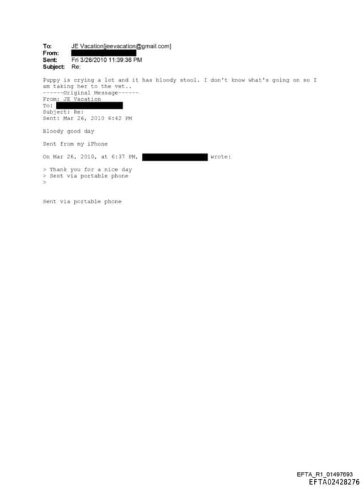 Preview of EFTA02428276