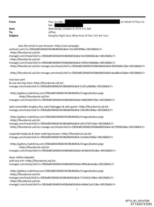 Preview of EFTA02715591