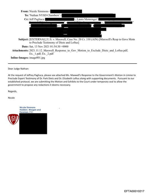 Preview of EFTA00010217