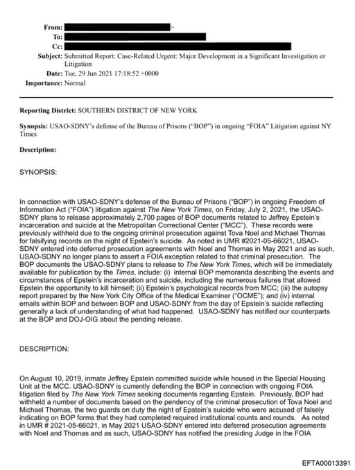 Preview of EFTA00013391