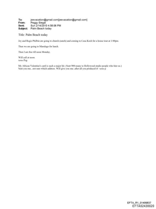 Preview of EFTA02430020