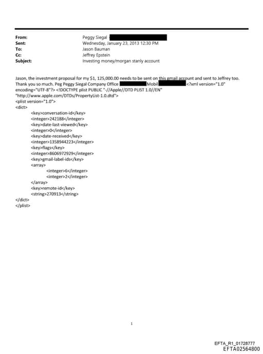 Preview of EFTA02564800