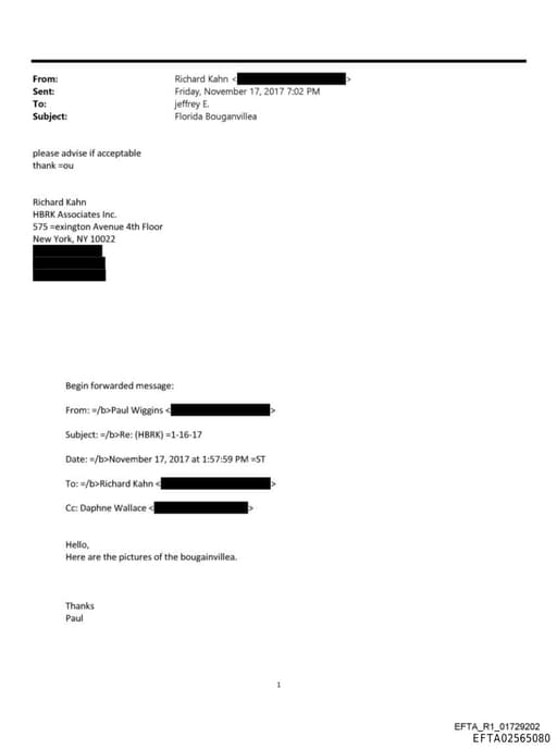 Preview of EFTA02565080