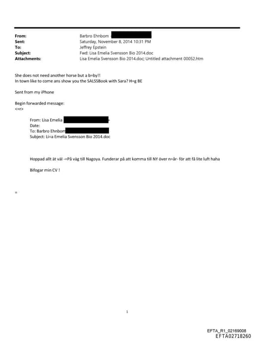 Preview of EFTA02718260