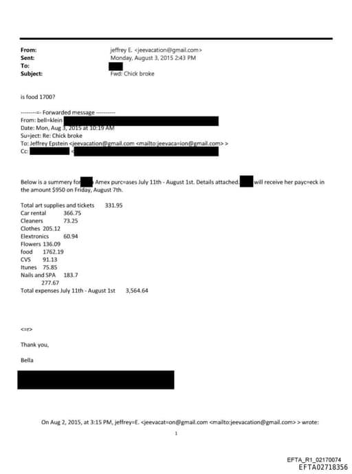 Preview of EFTA02718356