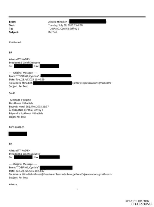 Preview of EFTA02718566