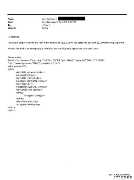 Preview of EFTA02719081