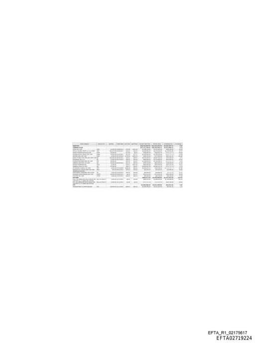 Preview of EFTA02719224