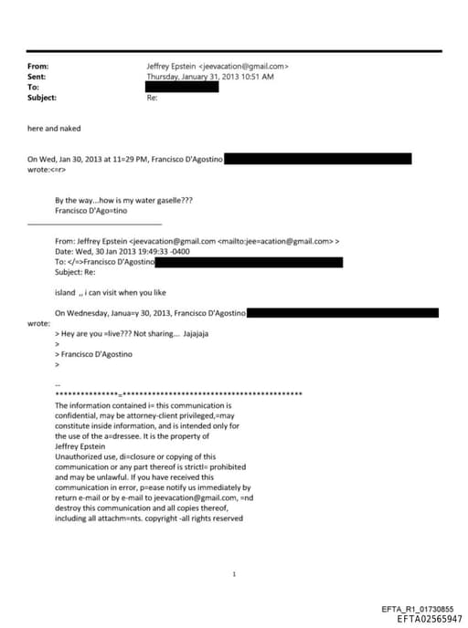 Preview of EFTA02565947