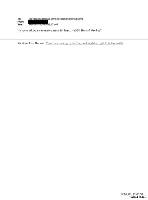 Preview of EFTA02431442