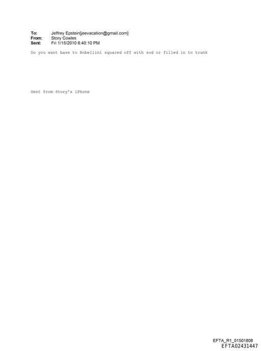 Preview of EFTA02431447
