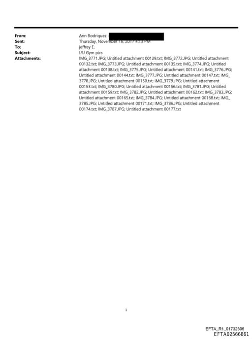 Preview of EFTA02566861