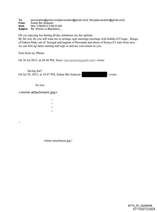 Preview of EFTA02721824