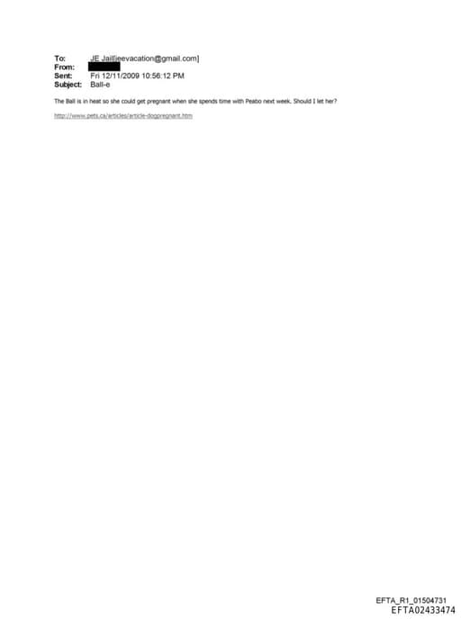 Preview of EFTA02433474