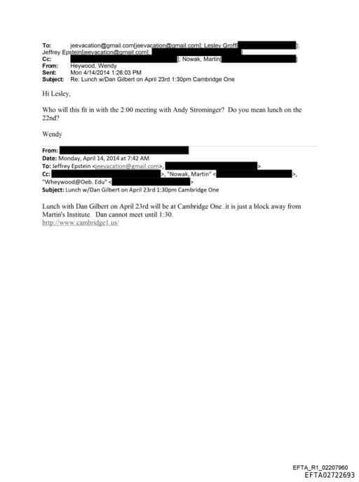 Preview of EFTA02722693