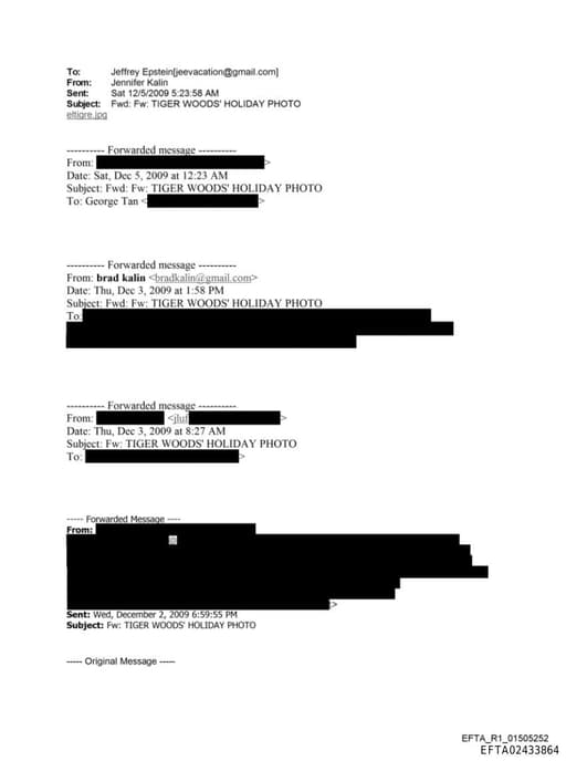 Preview of EFTA02433864