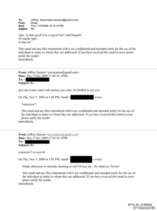 Preview of EFTA02434785