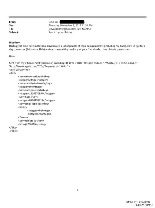 Preview of EFTA02568958