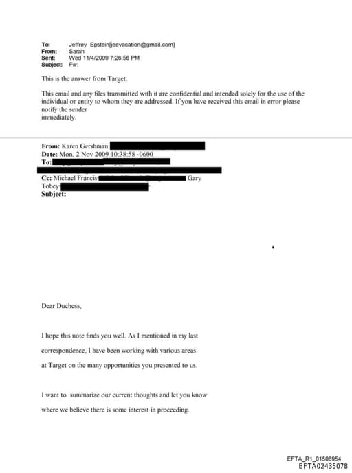 Preview of EFTA02435078