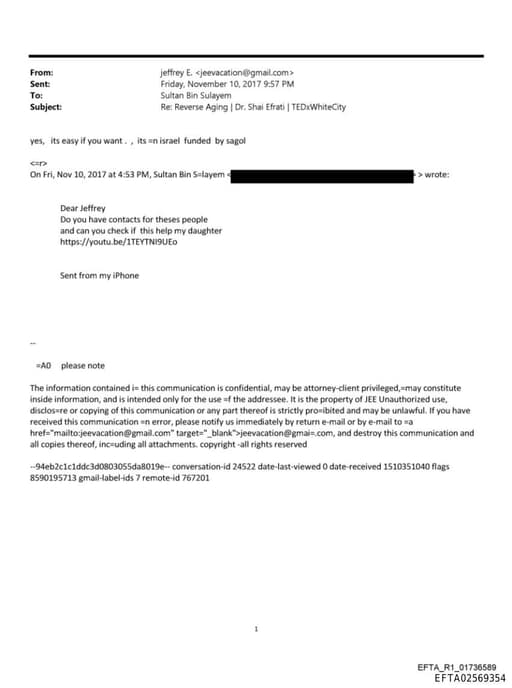 Preview of EFTA02569354