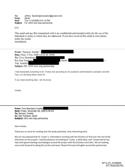 Preview of EFTA02435791