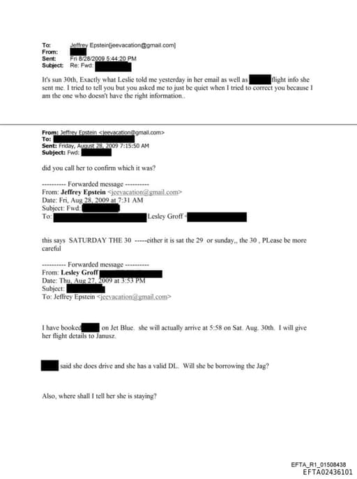 Preview of EFTA02436101