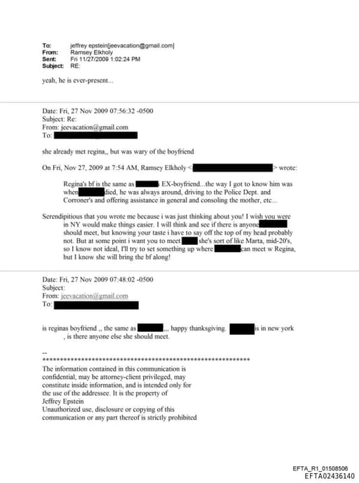 Preview of EFTA02436140