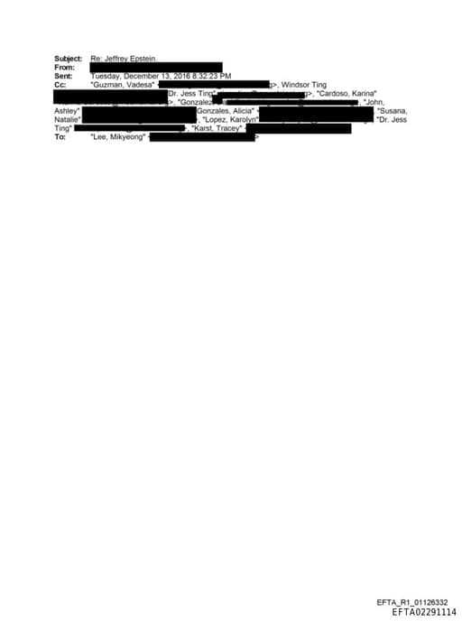 Preview of EFTA02291114