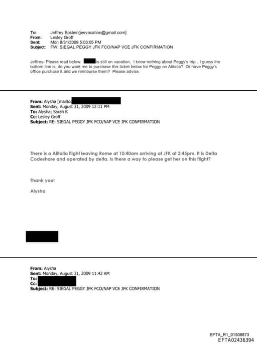 Preview of EFTA02436394