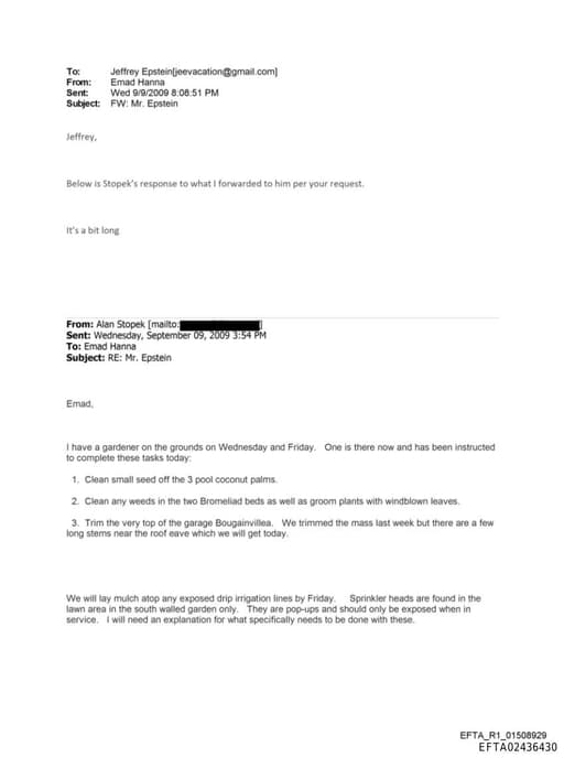 Preview of EFTA02436430