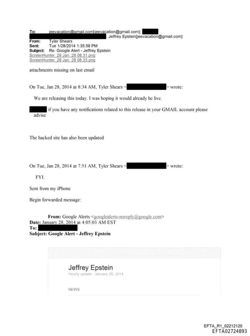 Preview of EFTA02724893