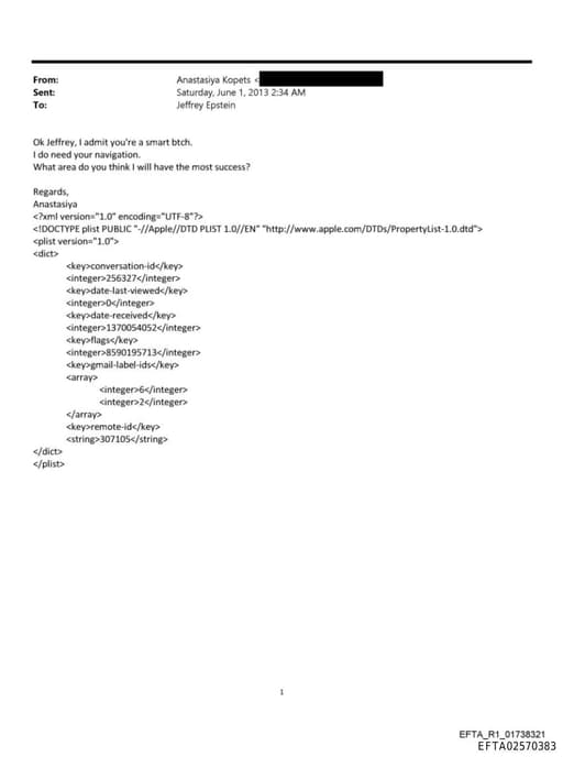 Preview of EFTA02570383