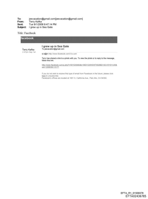 Preview of EFTA02436785